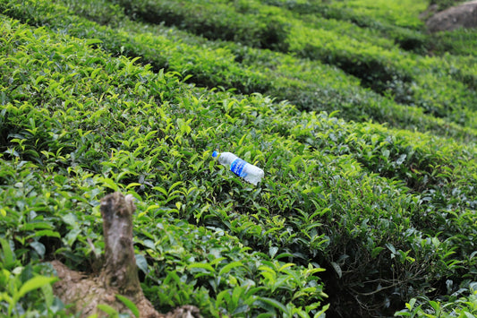 plastic bottle on green field