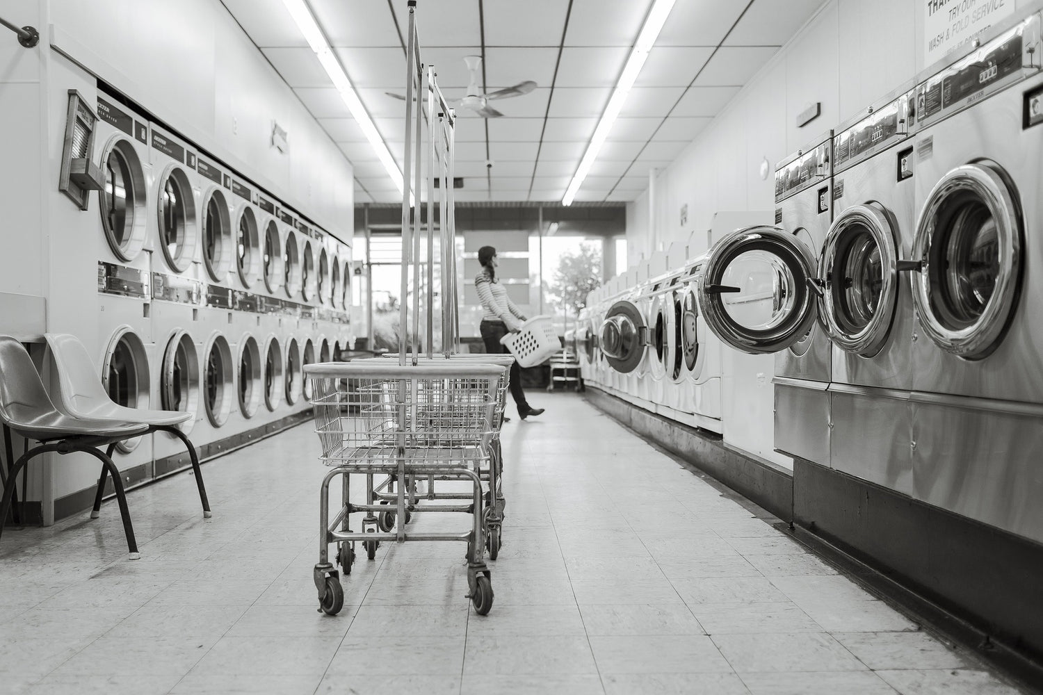 Washing Salon