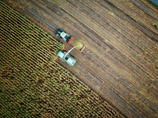 farmer from birds eye view