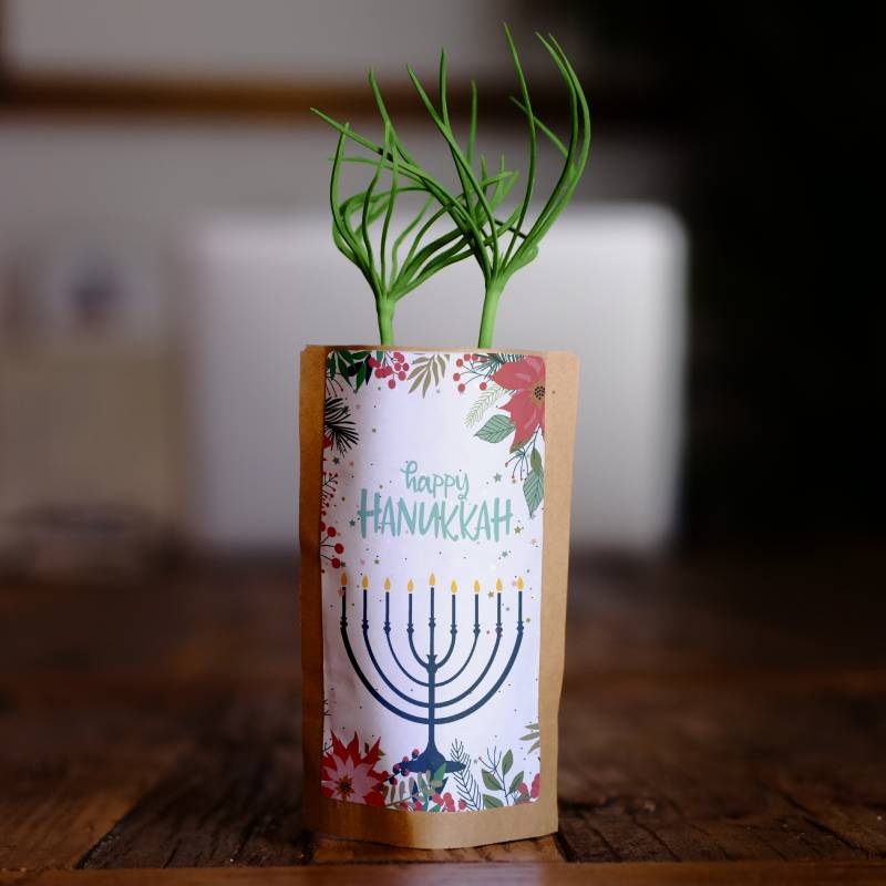 Happy Hanukkah Candles Growing Kit