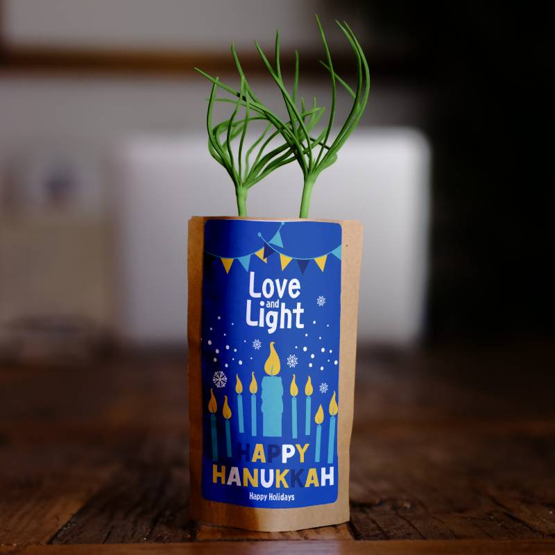 Happy Hanukkah Blue Growing Kit