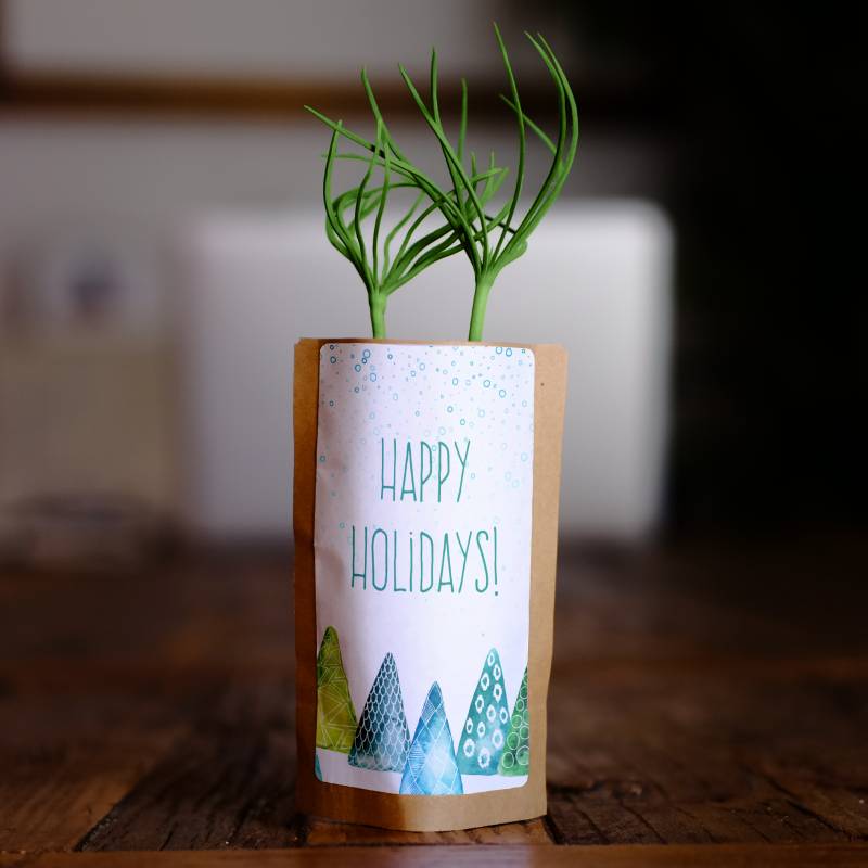 Happy Holidays Tree Gift