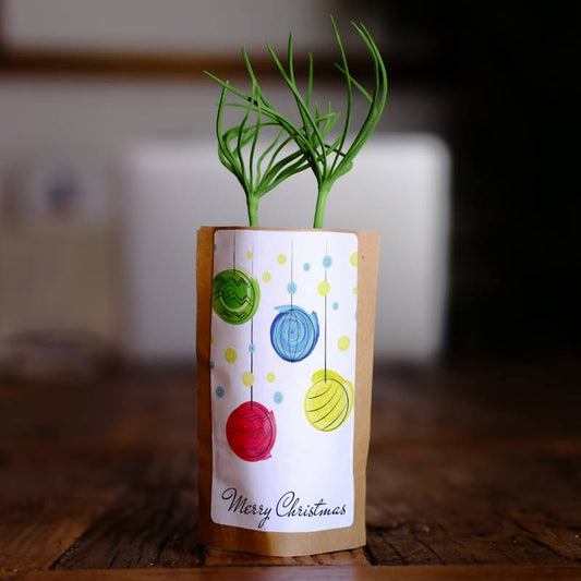 Merry Christmas Baubles Growing Kit