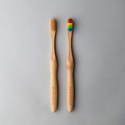 Bamboo Toothbrush (Duo)-0