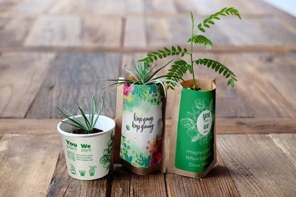 You Plant We Plant Tree Kits Gift Pack, We Plant 30 More Trees