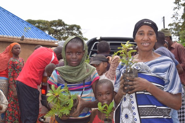 You Plant We Plant Tree Kits Gift Pack, We Plant 30 More Trees