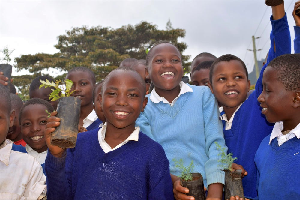 Forest Guardian Tree Cup, We Plant 100 More Trees