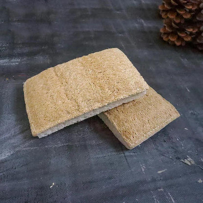 Loofah Sponge - SWOP - shop without plastic