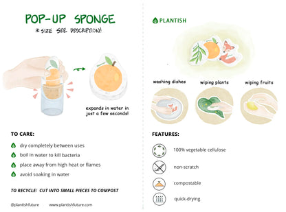 Orange You Glad - Pop up Sponge-3